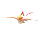 Mega Pidgeot