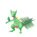 Sceptile